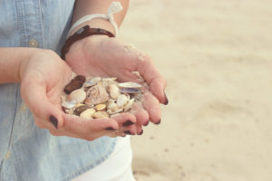 seashells-plural