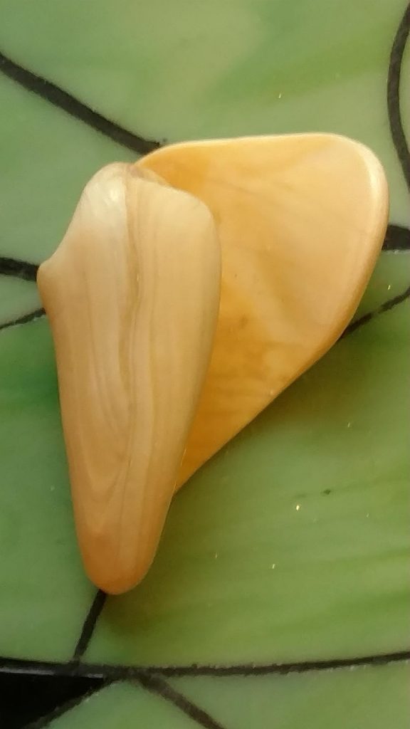 a shell heart embrace